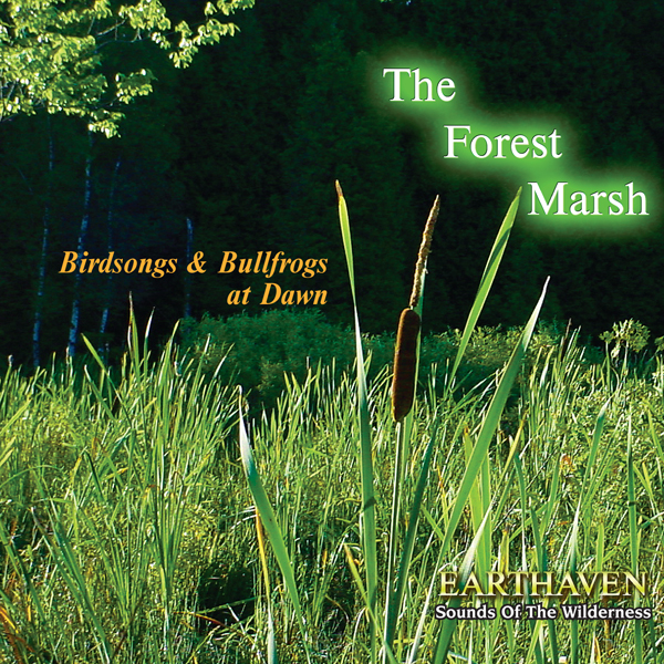 The Forest Marsh CDr
