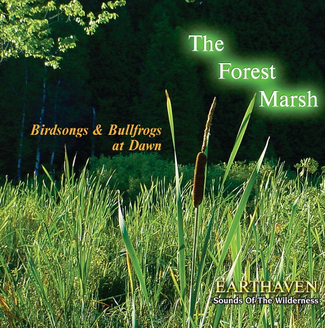 The Forest Marsh The Forest Marsh