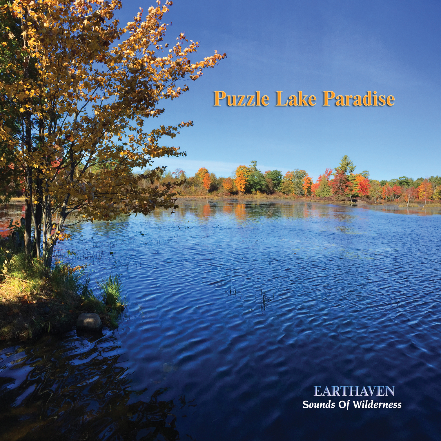 PUZZLE LAKE PARADISE: the latest from Stephen Bacchus
