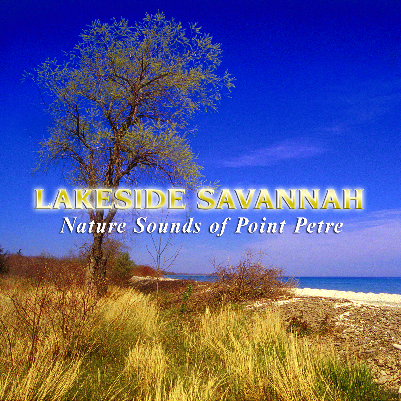 Lakeside Savannah CDr Lakeside Savannah CDr