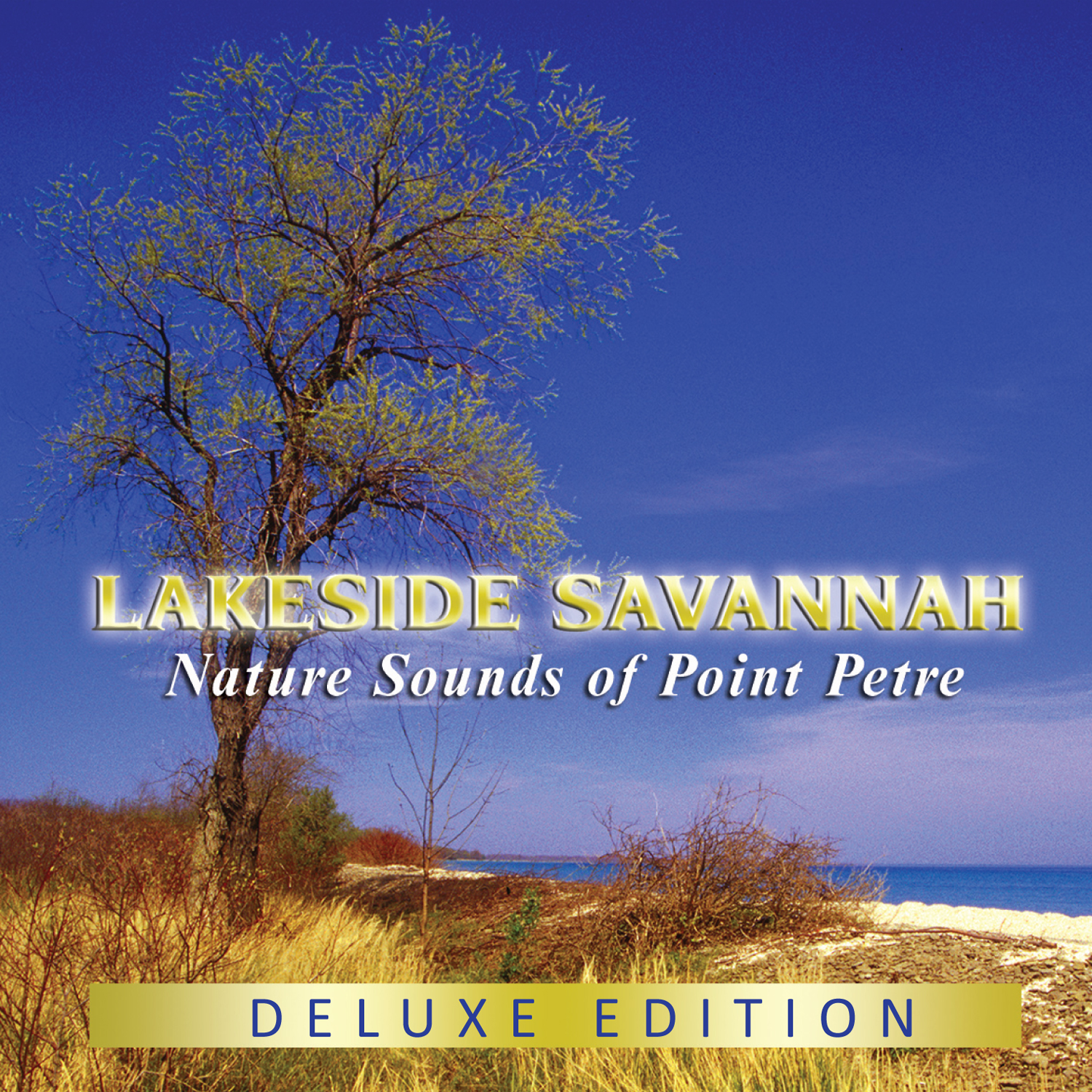 Lakeside Savannah cover